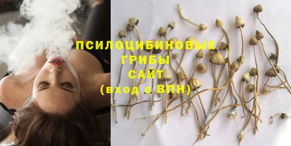 PSILOCYBIN Абдулино