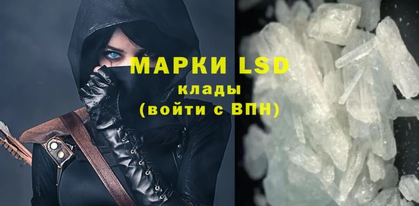 индика Михайловск