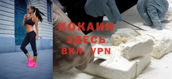 индика Михайловск