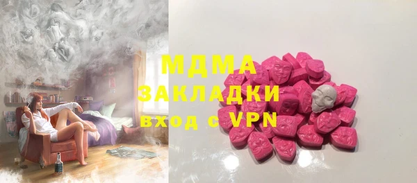 индика Михайловск