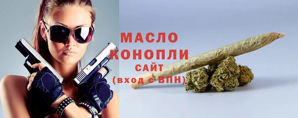 индика Михайловск