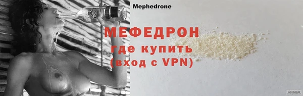 индика Михайловск