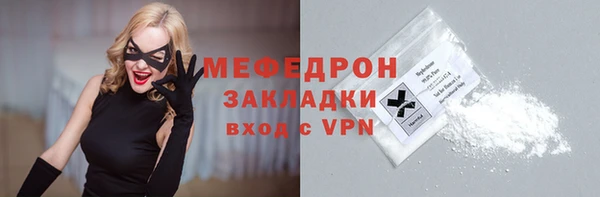 индика Михайловск