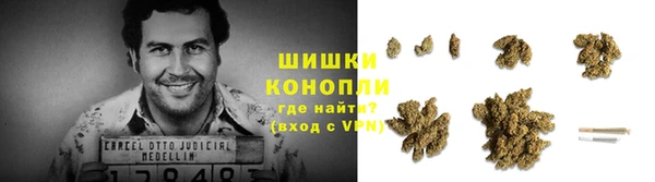 соль ск Абаза