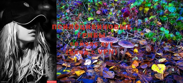 PSILOCYBIN Абдулино